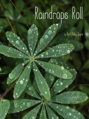 cover image of Raindrops Roll